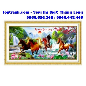 Tranh thêu mã đáo thành công
