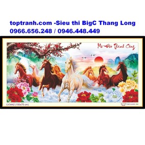 Tranh thêu mã đáo thành công