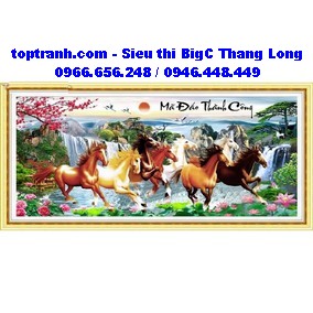 Tranh thêu mã đáo thành công