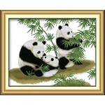 Gia đình gấu trúc