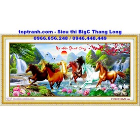 Tranh thêu mã đáo thành công