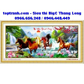 Tranh thêu mã đáo thành công