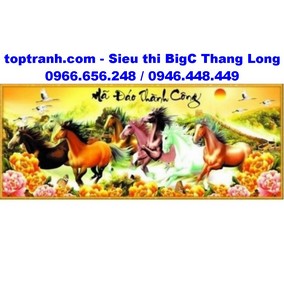 Tranh thêu mã đáo thành công